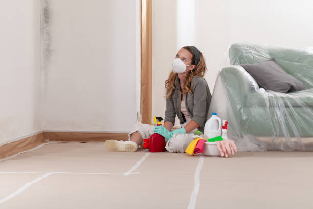 Reliable Commercial Mold Remediation contractor in Williamsburg, VA by WQB Mold Removal